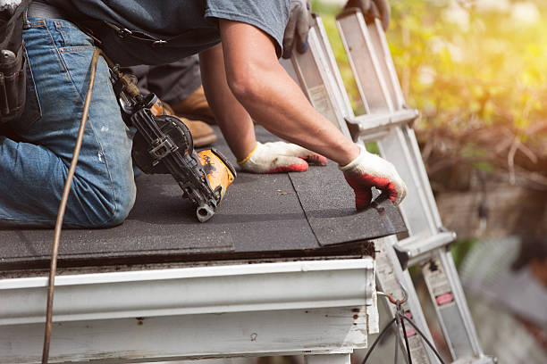 Best Roof Gutter Cleaning  in Bangor, PA